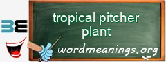 WordMeaning blackboard for tropical pitcher plant